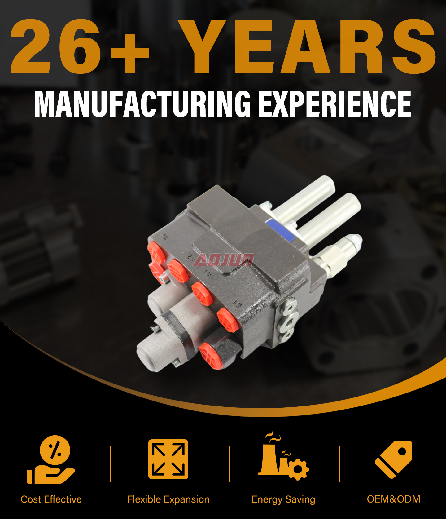 2 Spool Cable Monoblock Directional Valve DM45 detailed image