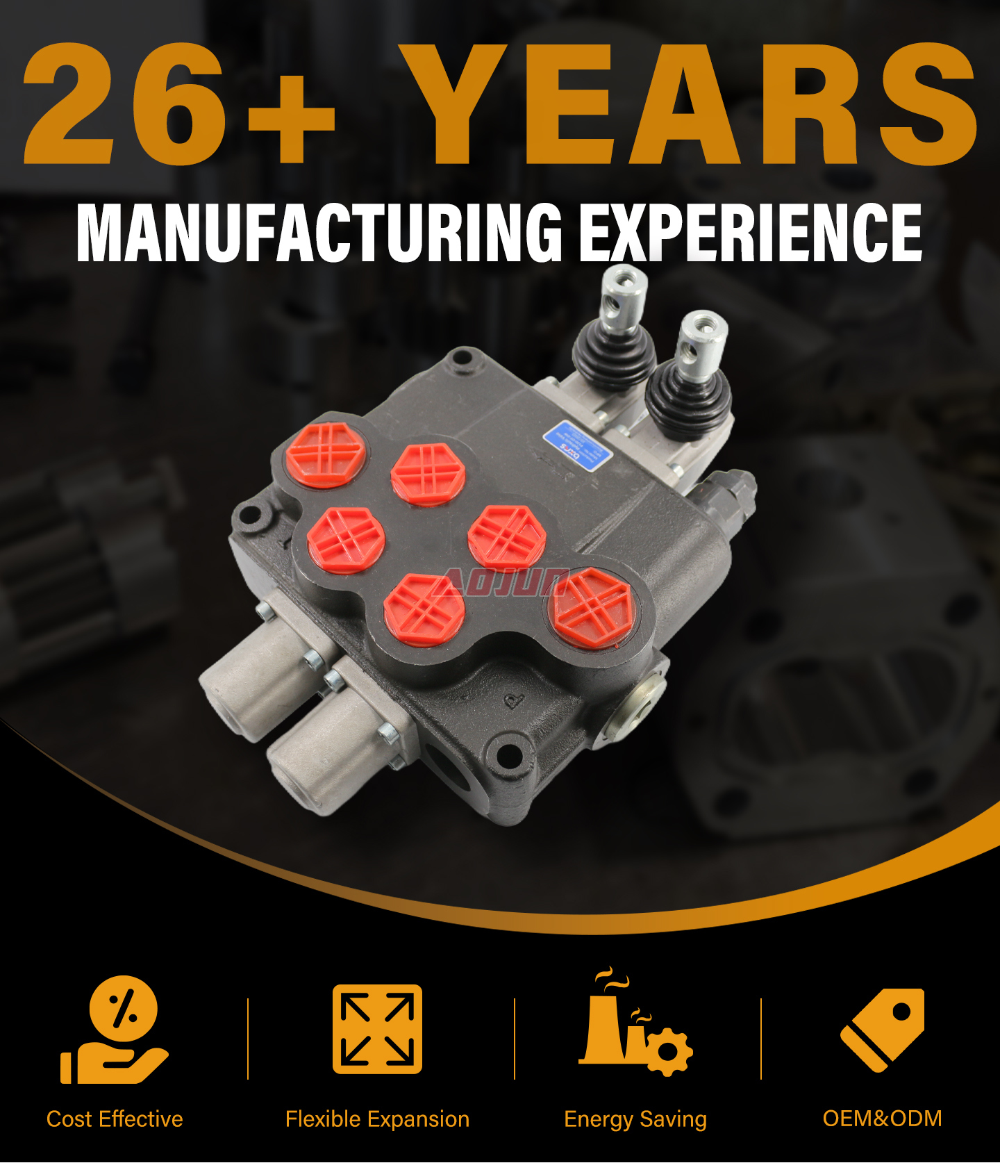 2 Spool Manual Monoblock Directional Valve P120 detailed image