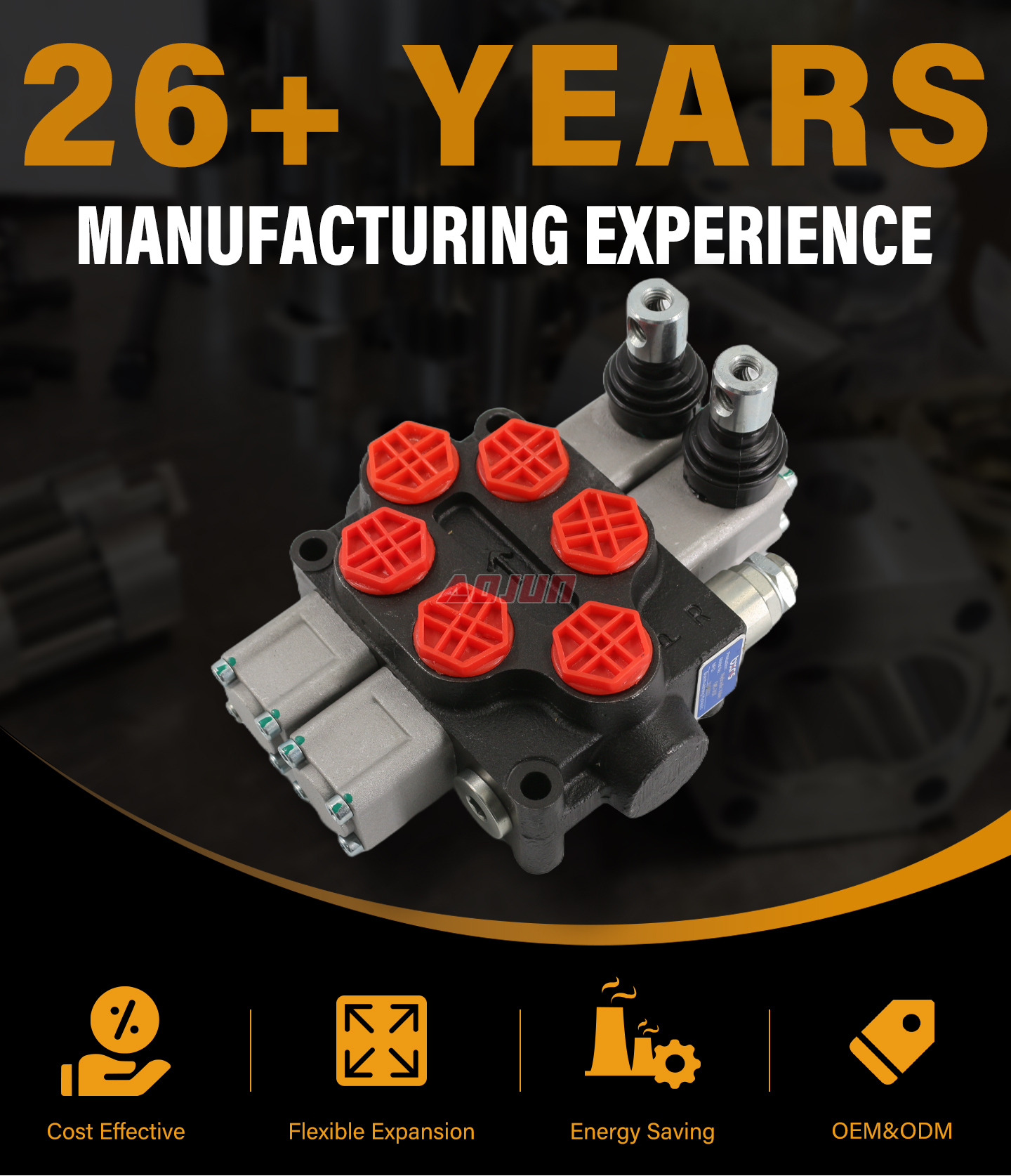 2 Spool Manual Monoblock Directional Valve Q45 detailed image