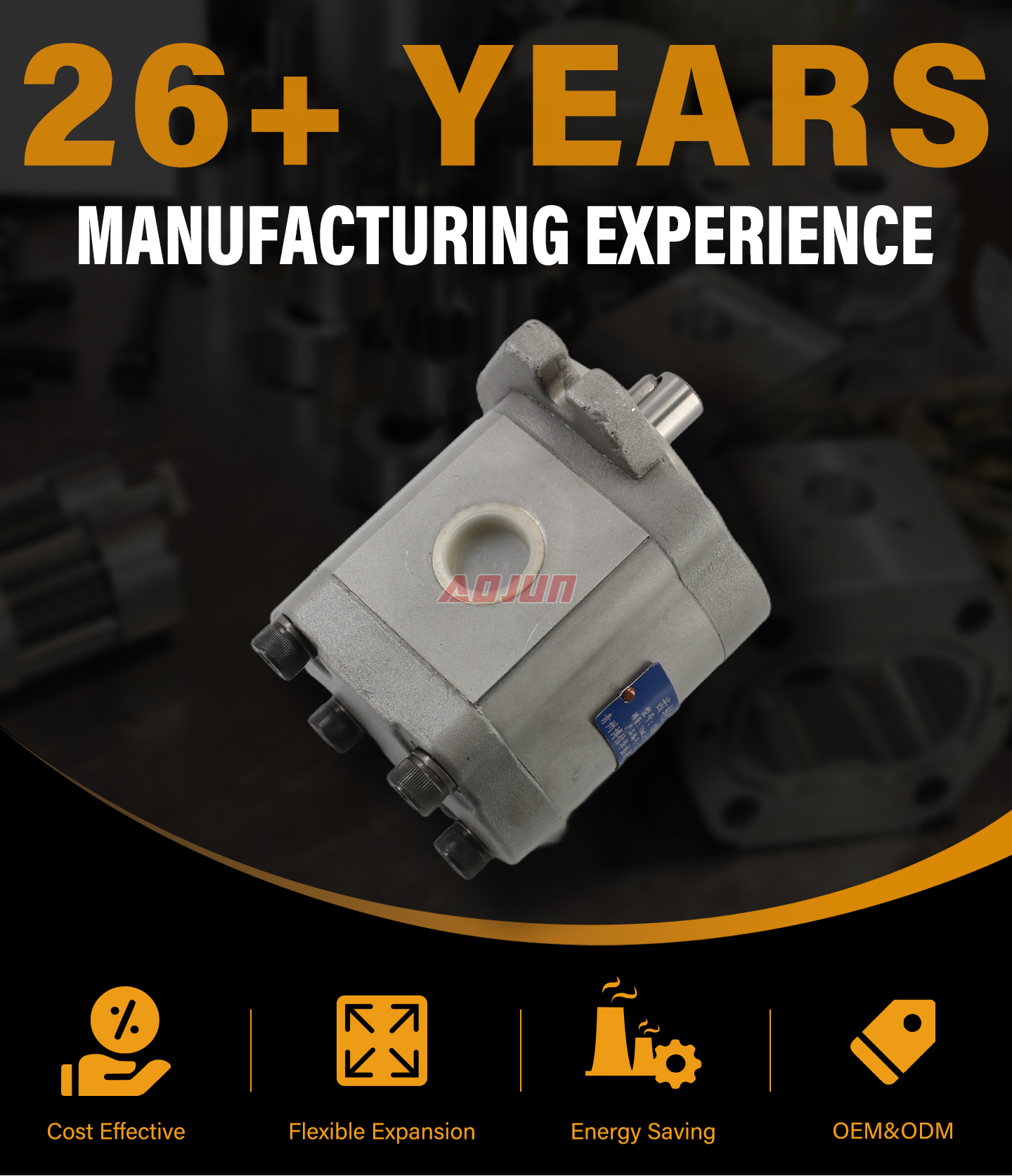 20 MPa (2900 psi) 16 cc/rev Hydraulic Gear Pump CBHS-F316 detailed image