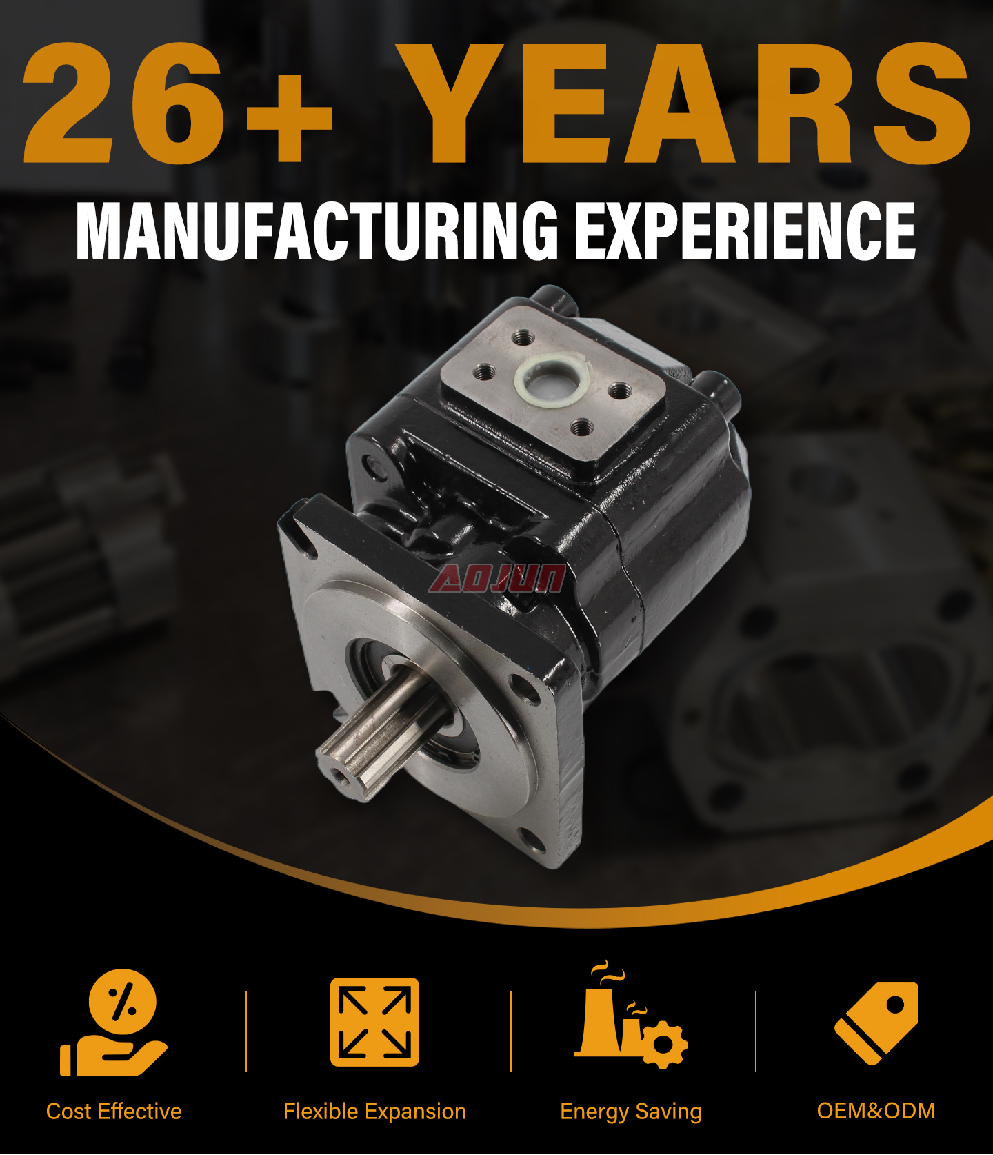 20 MPa (2900 psi) 63 cc/rev Hydraulic Gear Pump JHP2063 detailed image