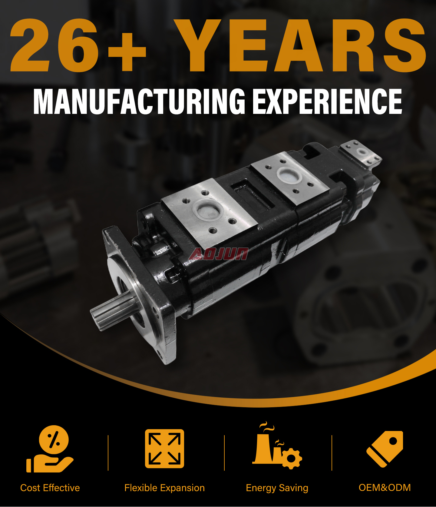 20 MPa (2900 psi) 100 cc/rev Hydraulic Gear Pump JHP2100-2080-1016 detailed image