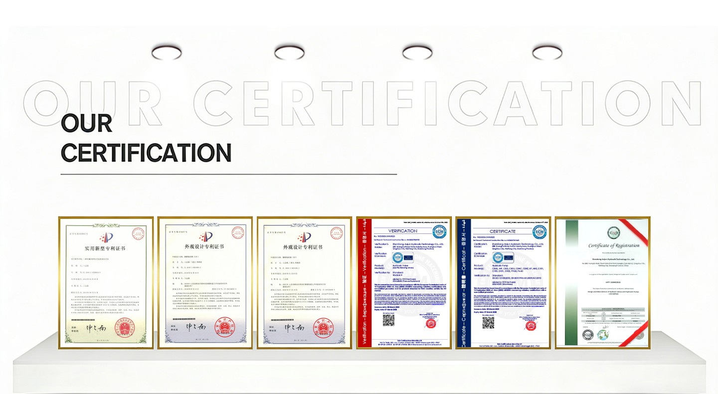 20 MPa (2900 psi) 80 cc/rev Hydraulic Piston Pump P9-80-H certification image